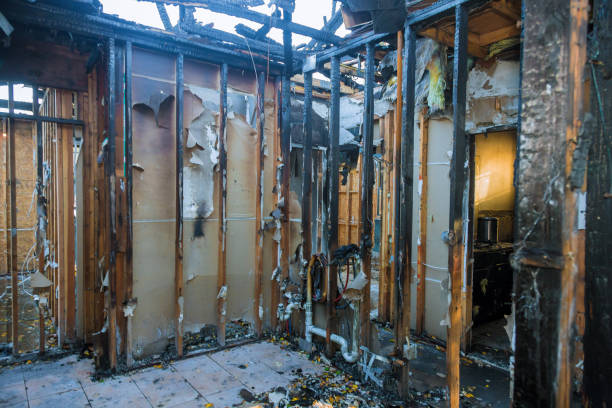 Professional Odor Removal technician working in Williamsport, IN